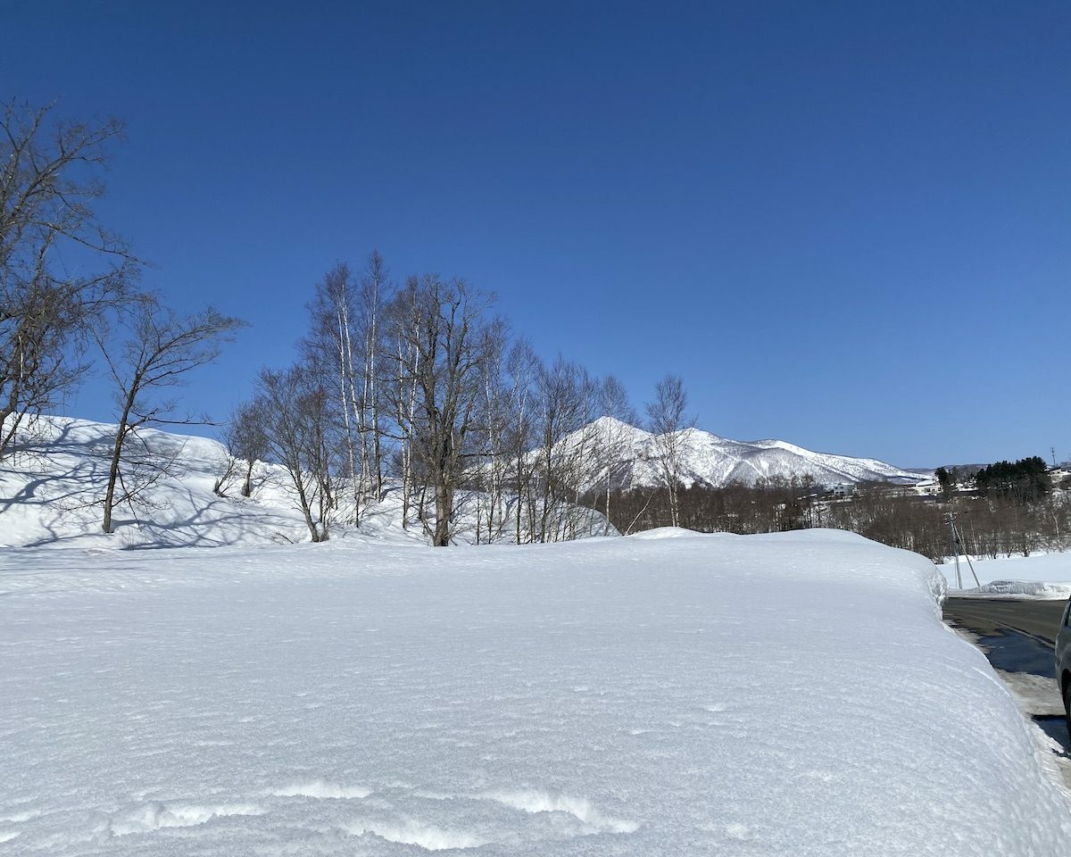 Niseko Town 1036 Land