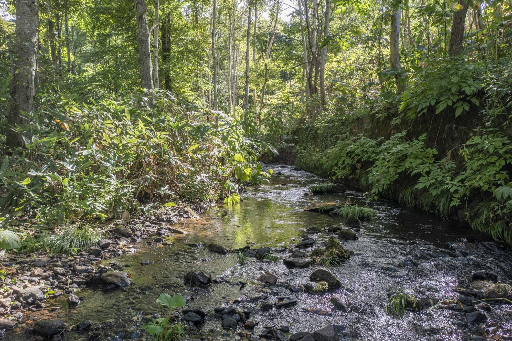 Hanazono Niseko Creekside Land