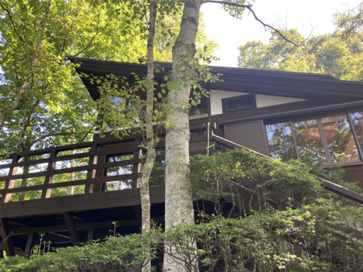 Renovated Cedar Retreat with Loft