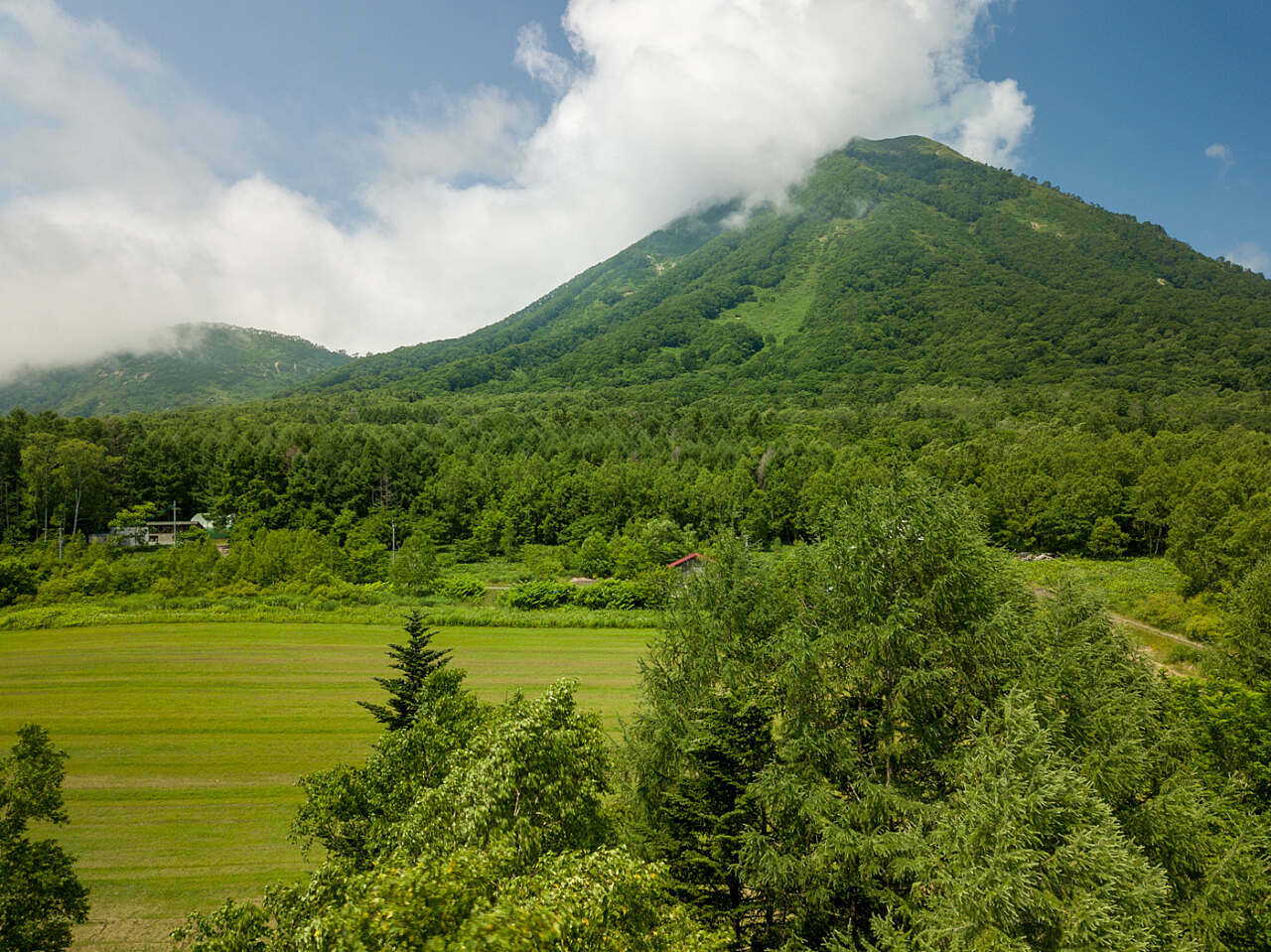 Rusutsu Commercial Land