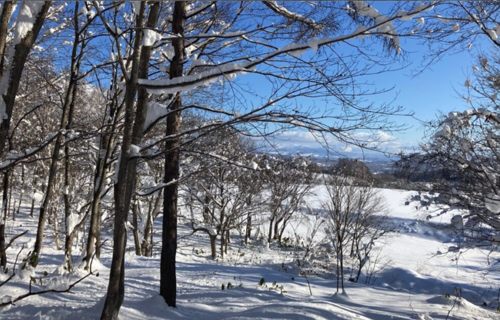 Large Soga Development Block 1205