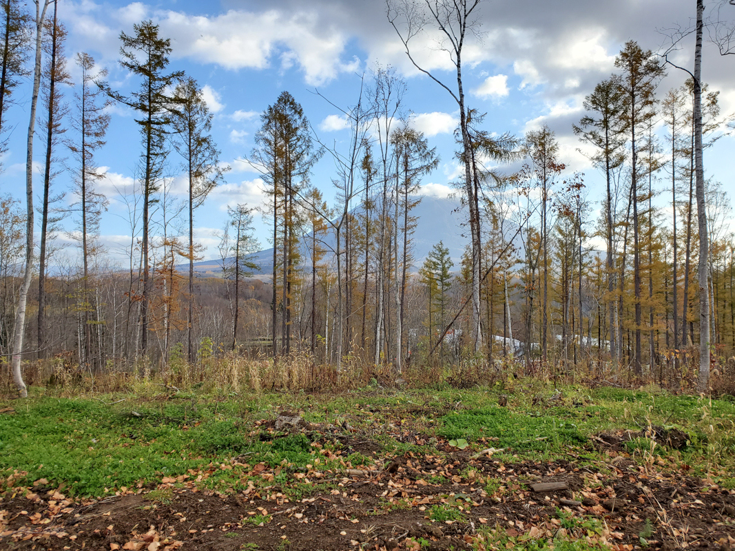 Soga 623-6: 1.7 Hectare Site