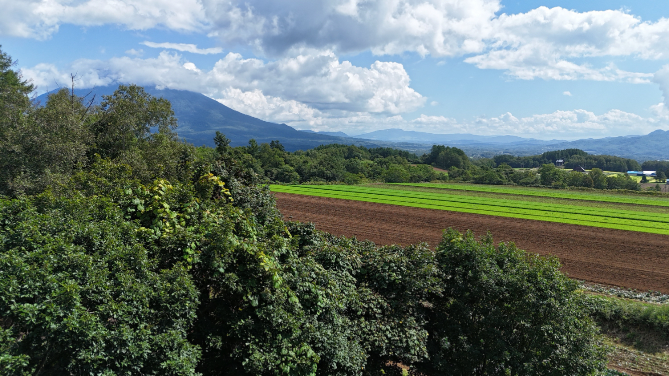 Soga Stone Circle: Creekside land with forest views