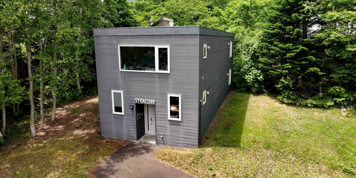 ST Gallery and Residences