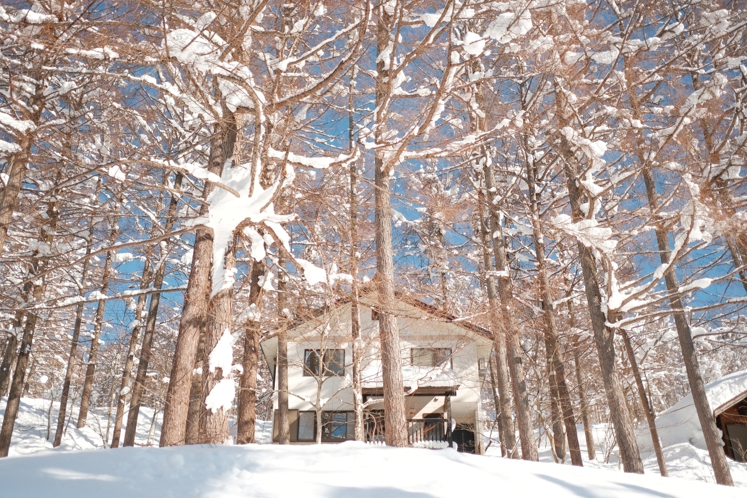 Madarao Tangram West Hills - Resort Villa