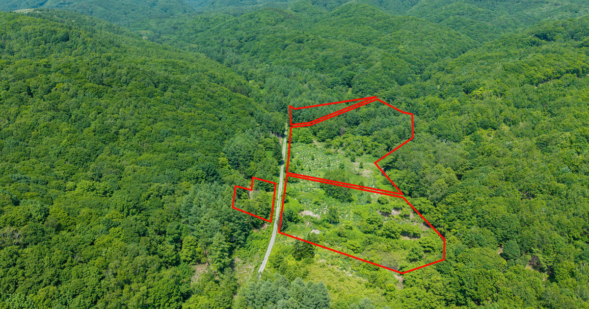 Visual Reference: Off Grid Paradise