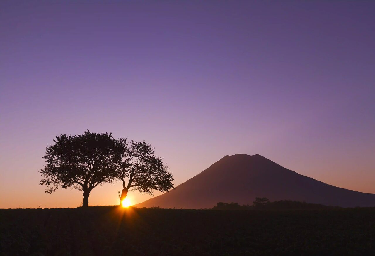 Summer in niseko