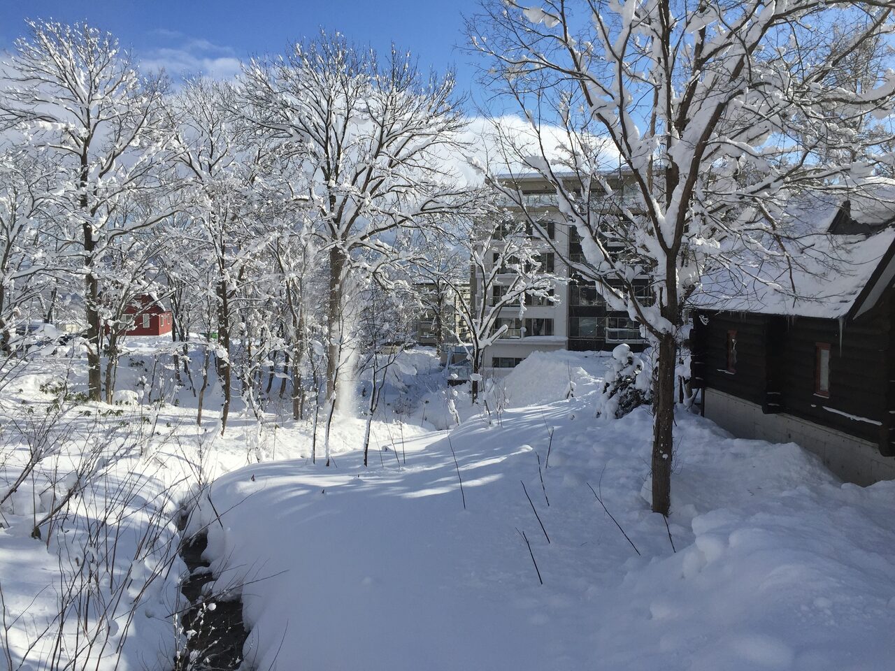 WB winter creekside