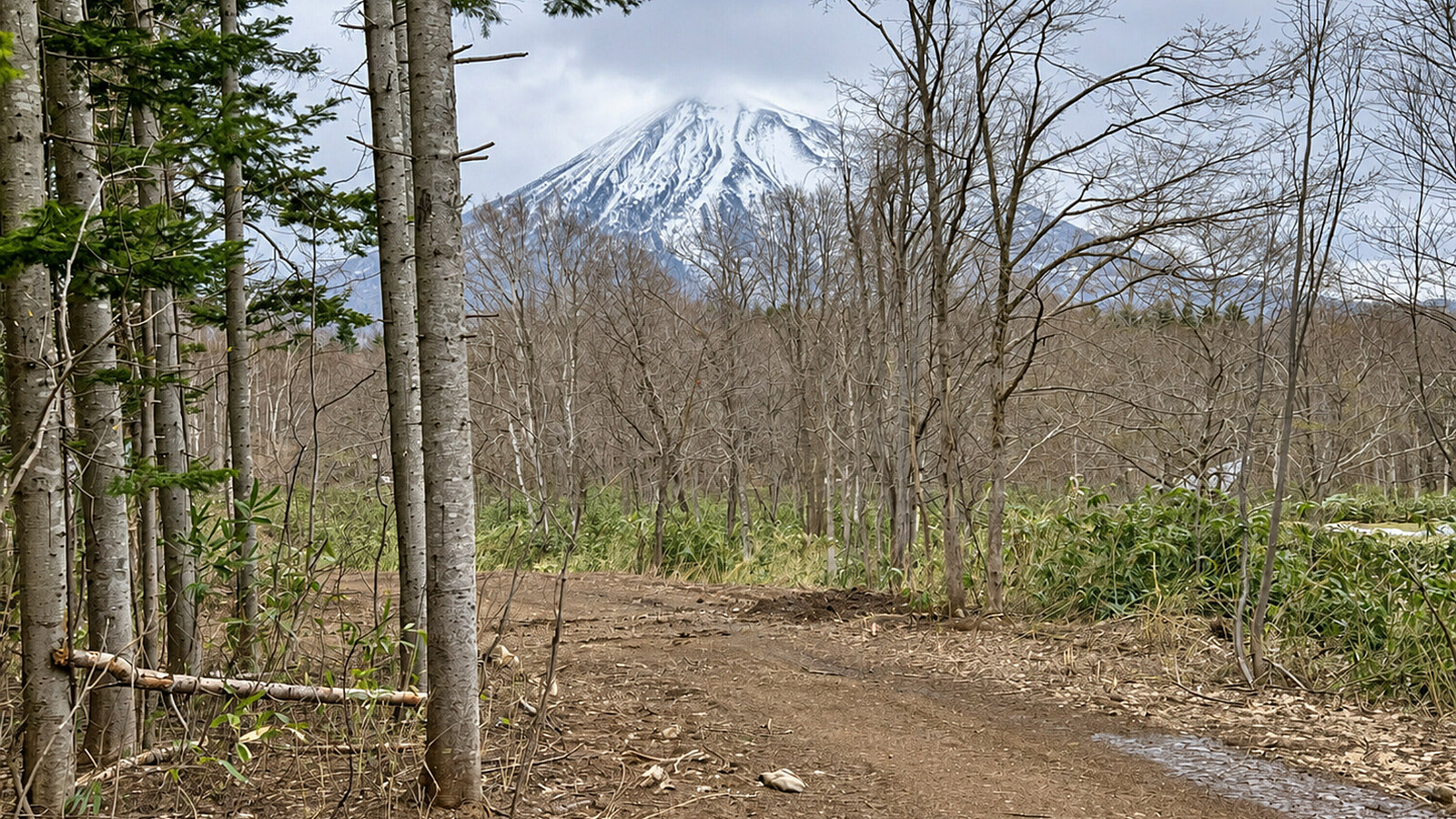 01 yotei main
