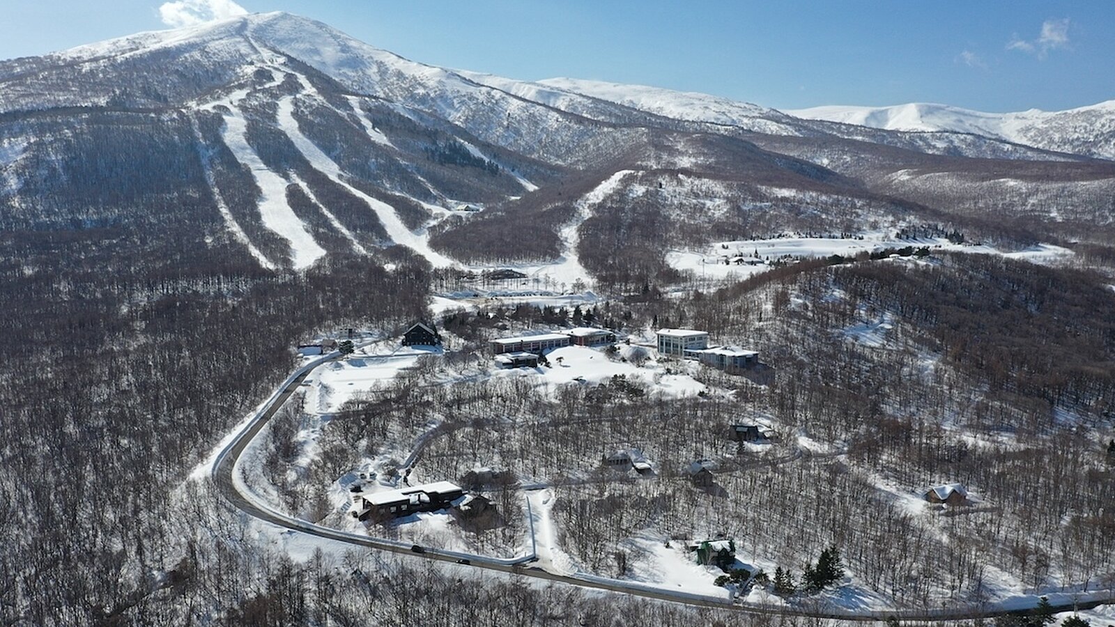 DJI 0813
