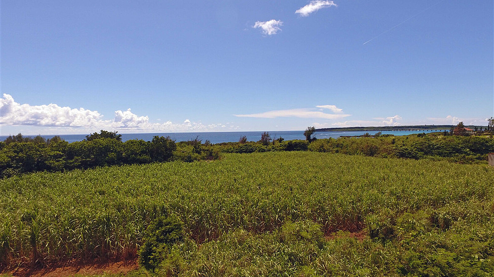 144894 21911 sqm Corner Resort Land Near Emerald Coast Miyako Island6
