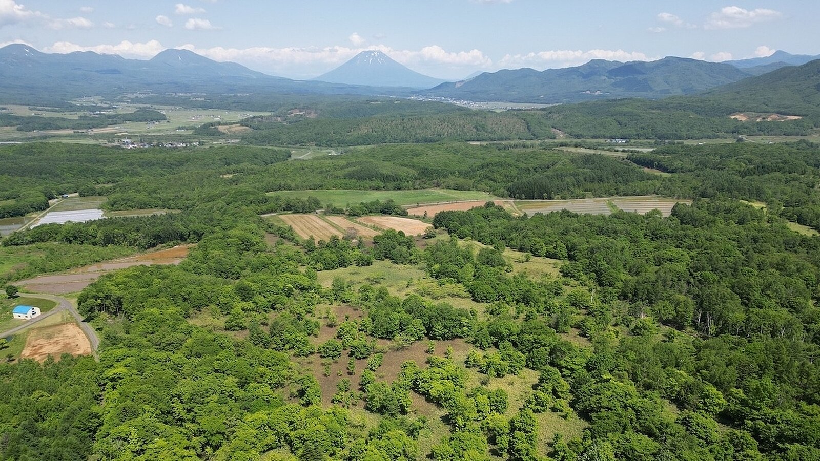 DJI 0057 copy