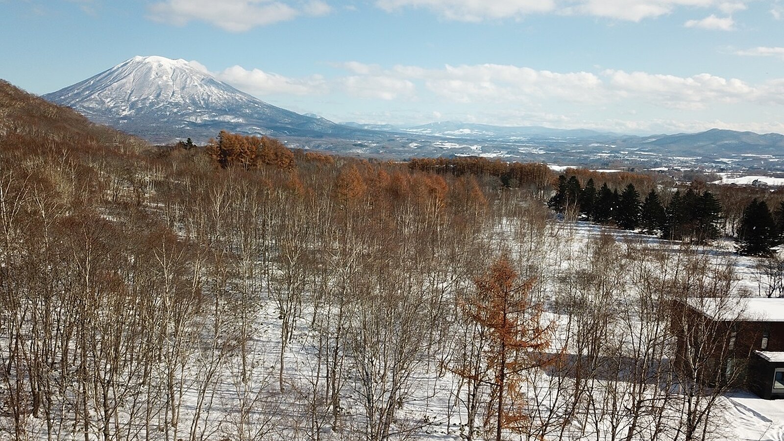 Niseko Realty Annupuri Large Forest Lot 6