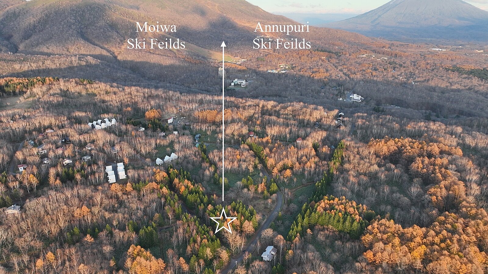 DJI 0301