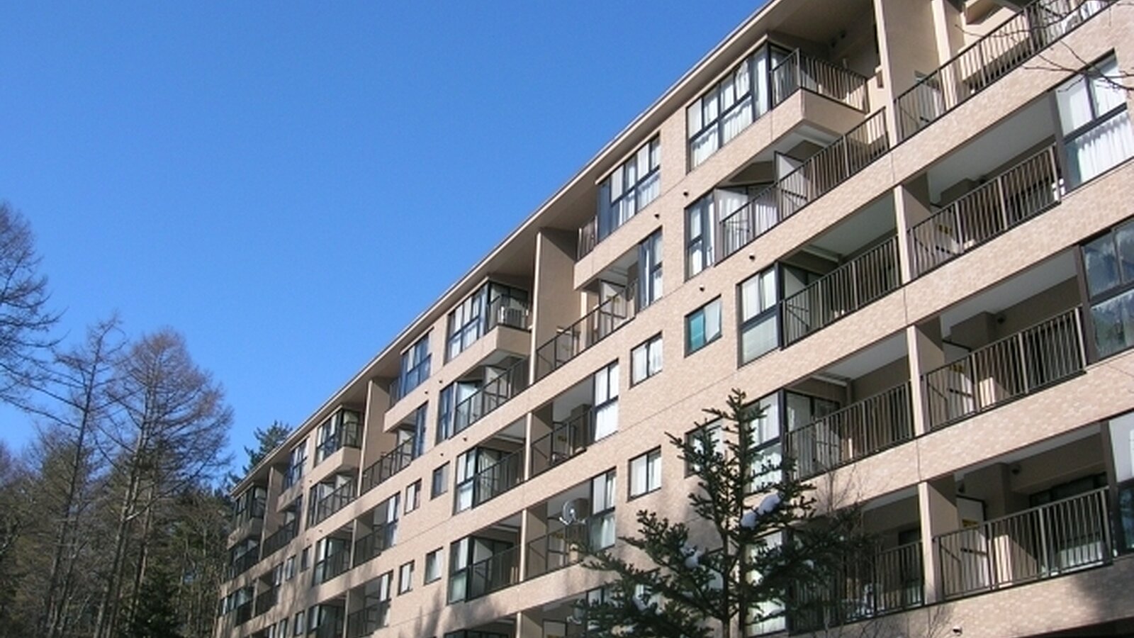 1 BR Condo with Service Room2