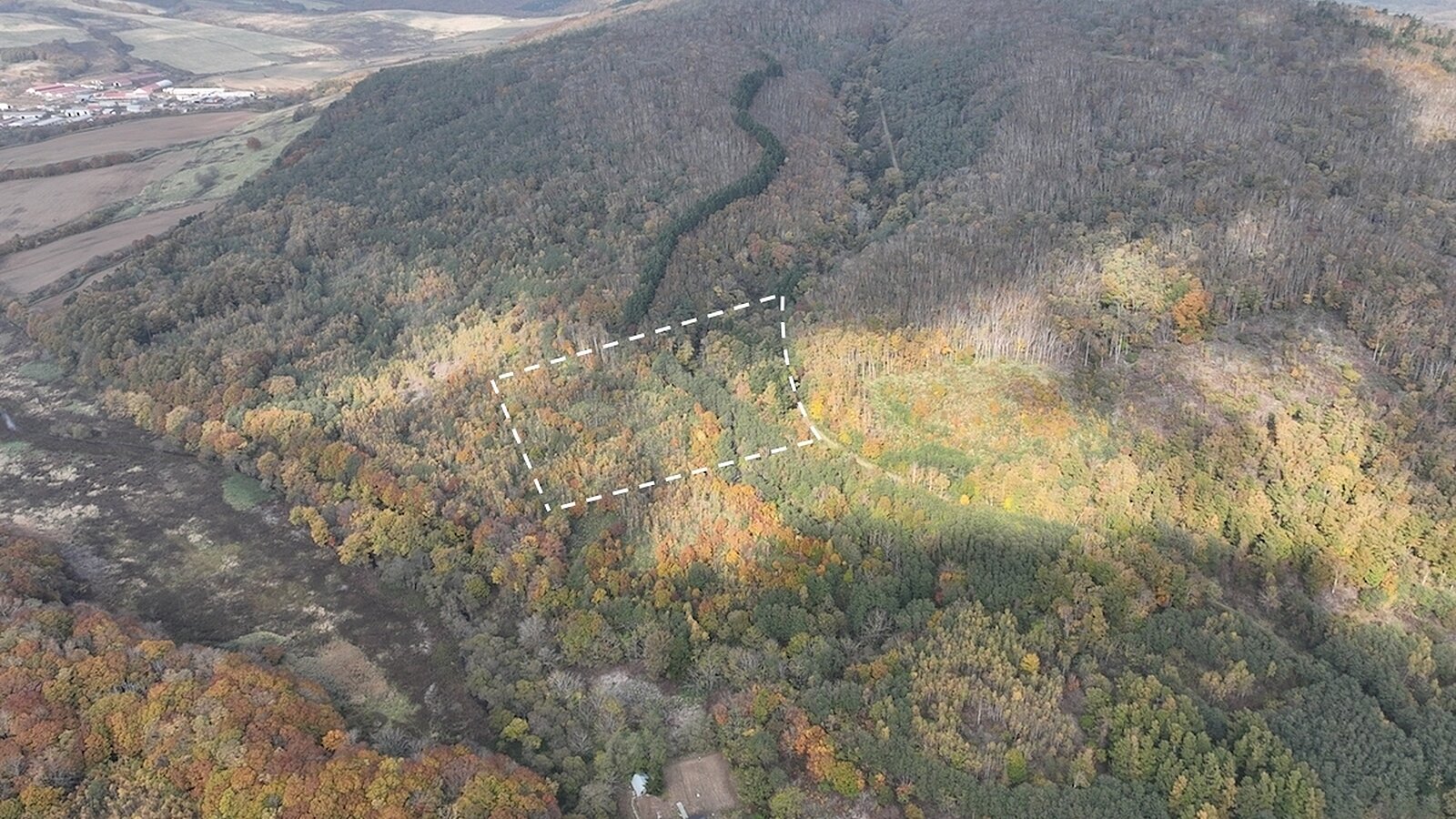 DJI 0102