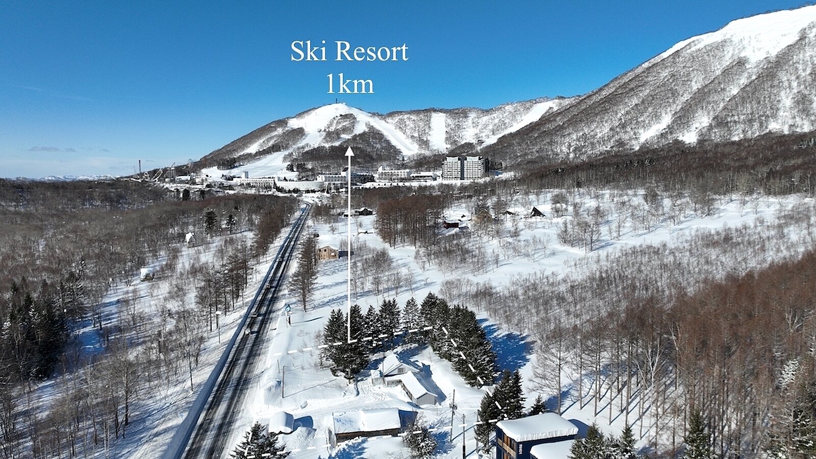 DJI 0454