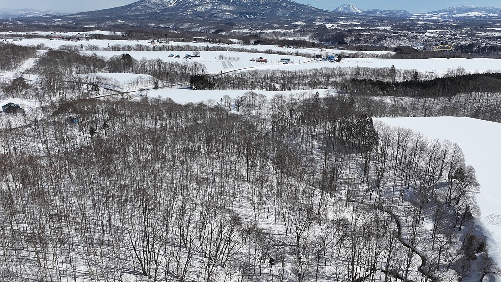 Niseko Realty Large Yotei View 1