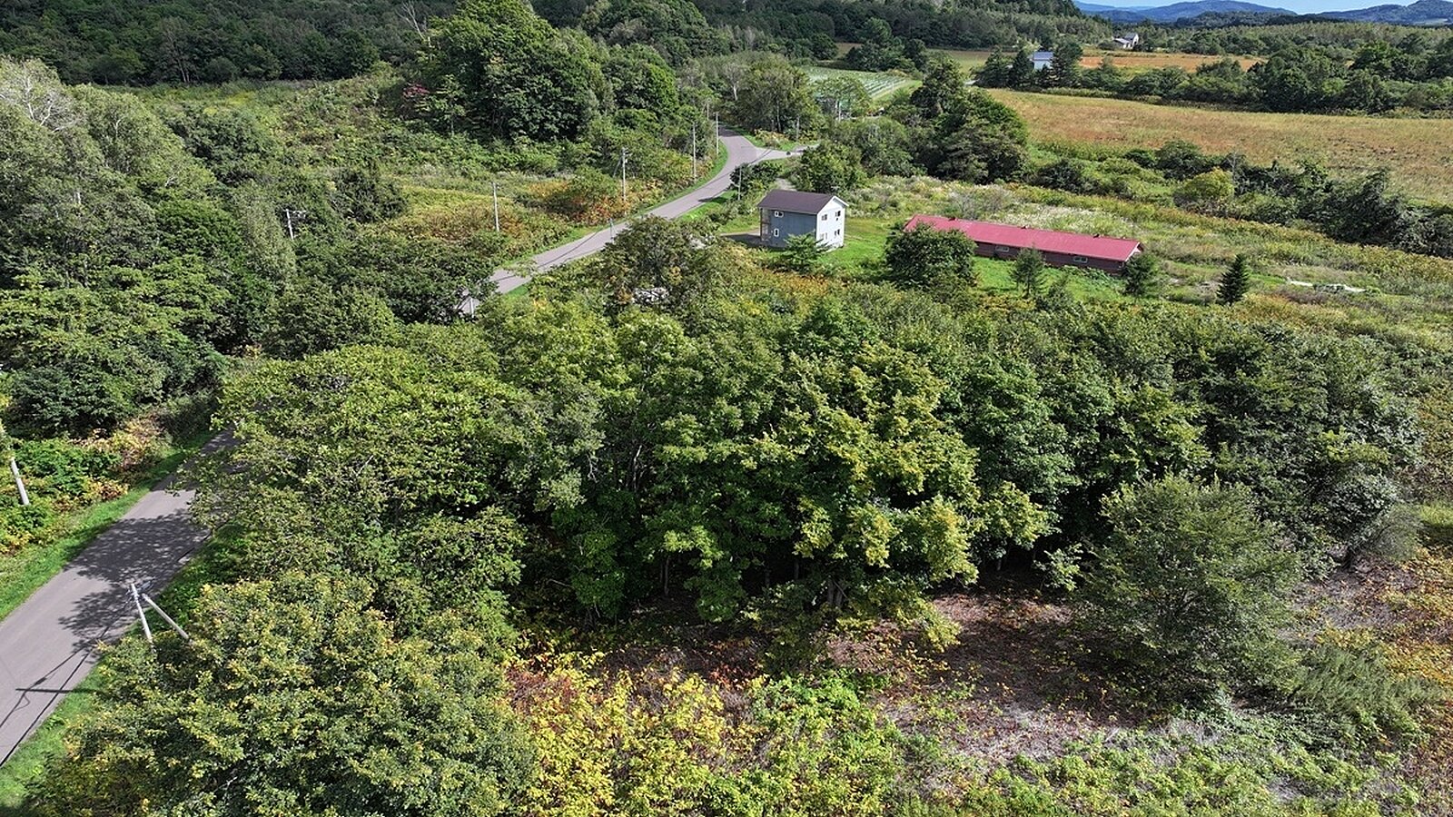 Niseko Realty 650 11 Kondo 1