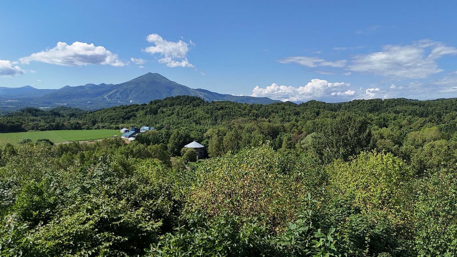 Kondo 741 171 7