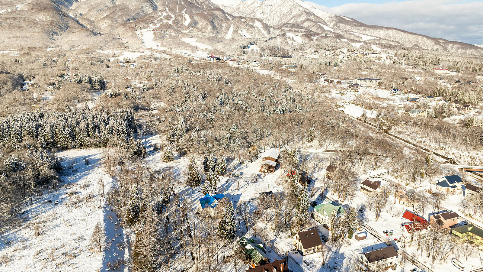 4 Myoko Forest Land
