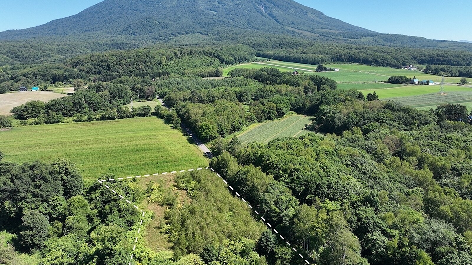 DJI 0317