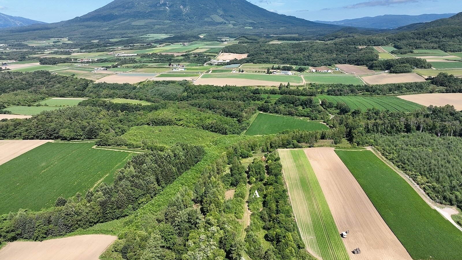 DJI 0363 copy
