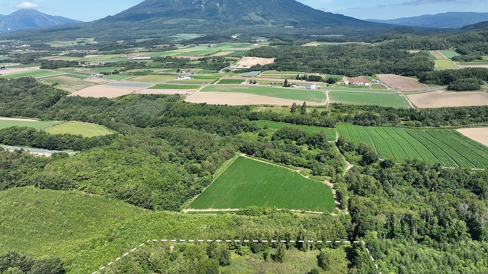 DJI 0361 copy