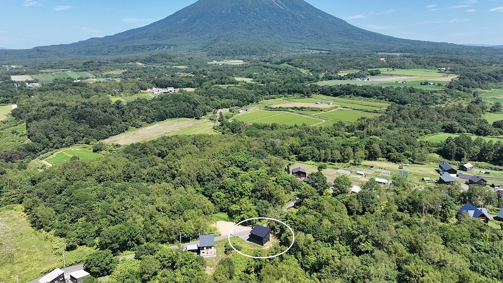 DJI 0212