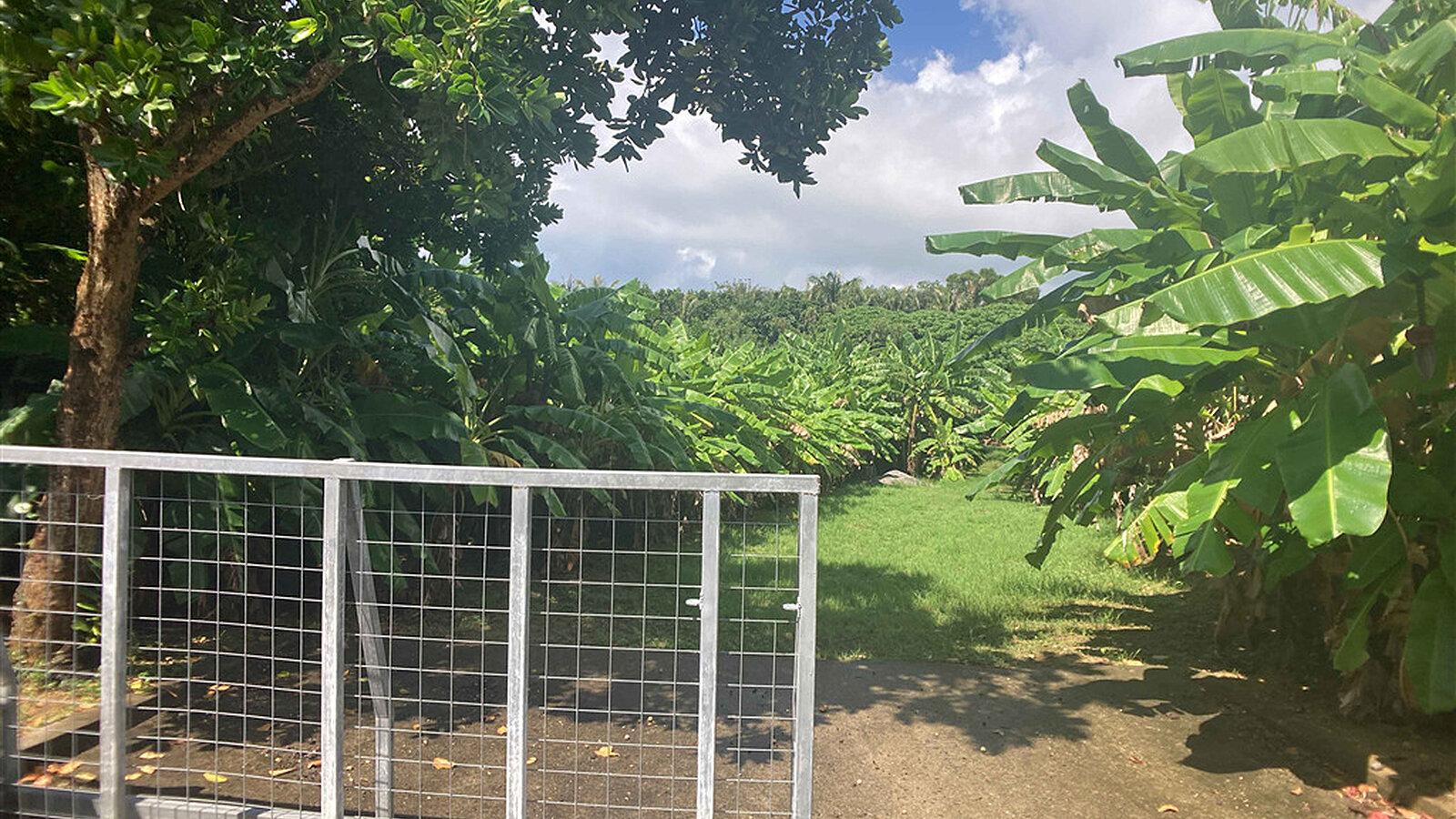 994 sqm Residential Land Near Fusaki Beach Ishigaki Island10