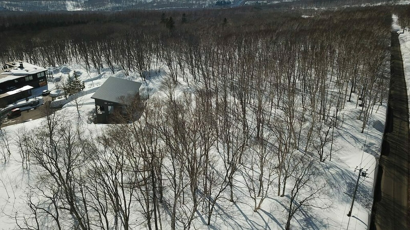 Annupuri Gardens Niseko Realty 3 1024x768