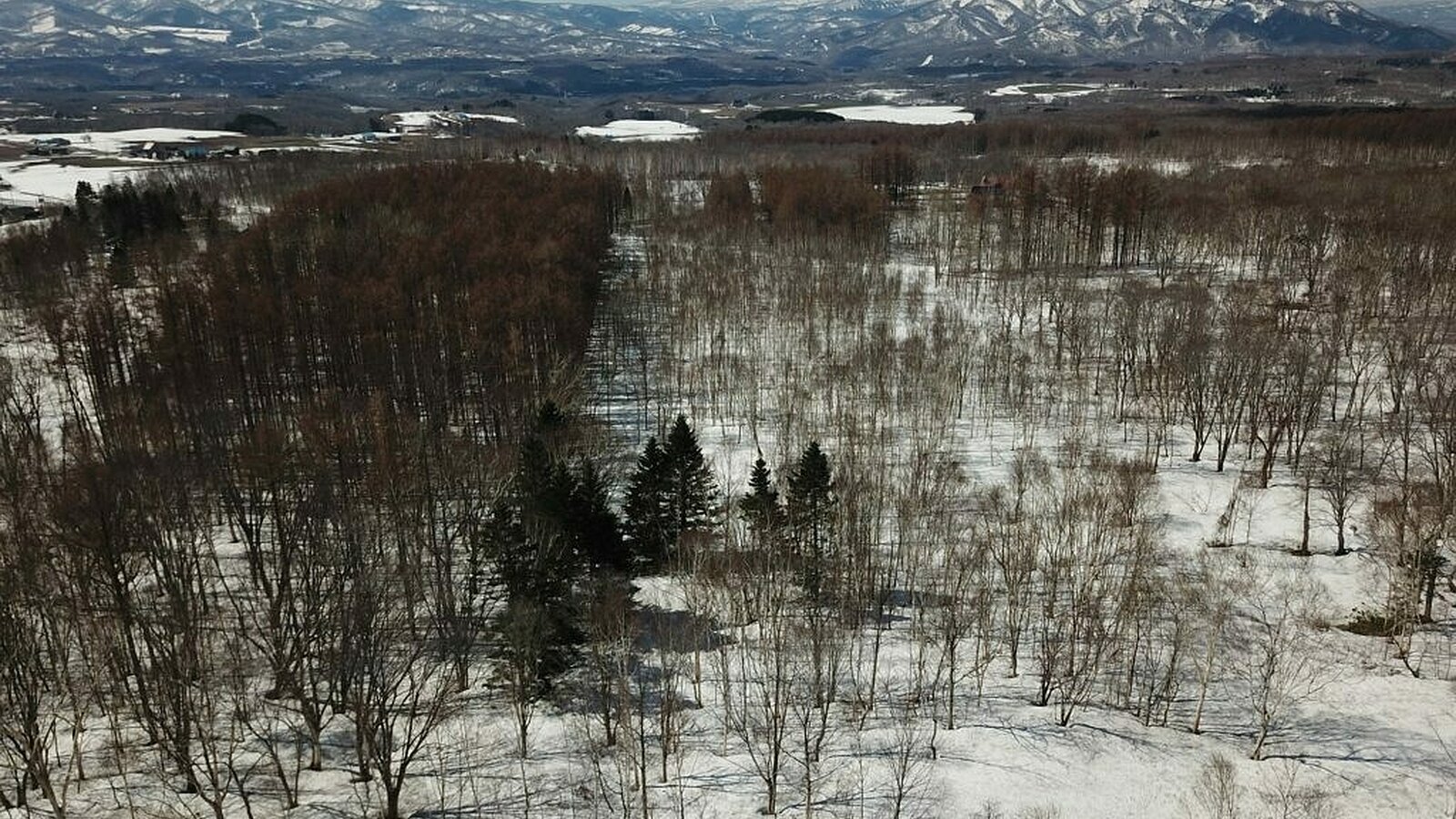 Annupuri Soga Large Land Niseko Realty 3 1024x768