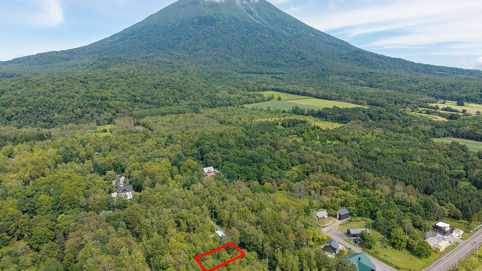 Beautiful Kondo Forest Land 15 Line