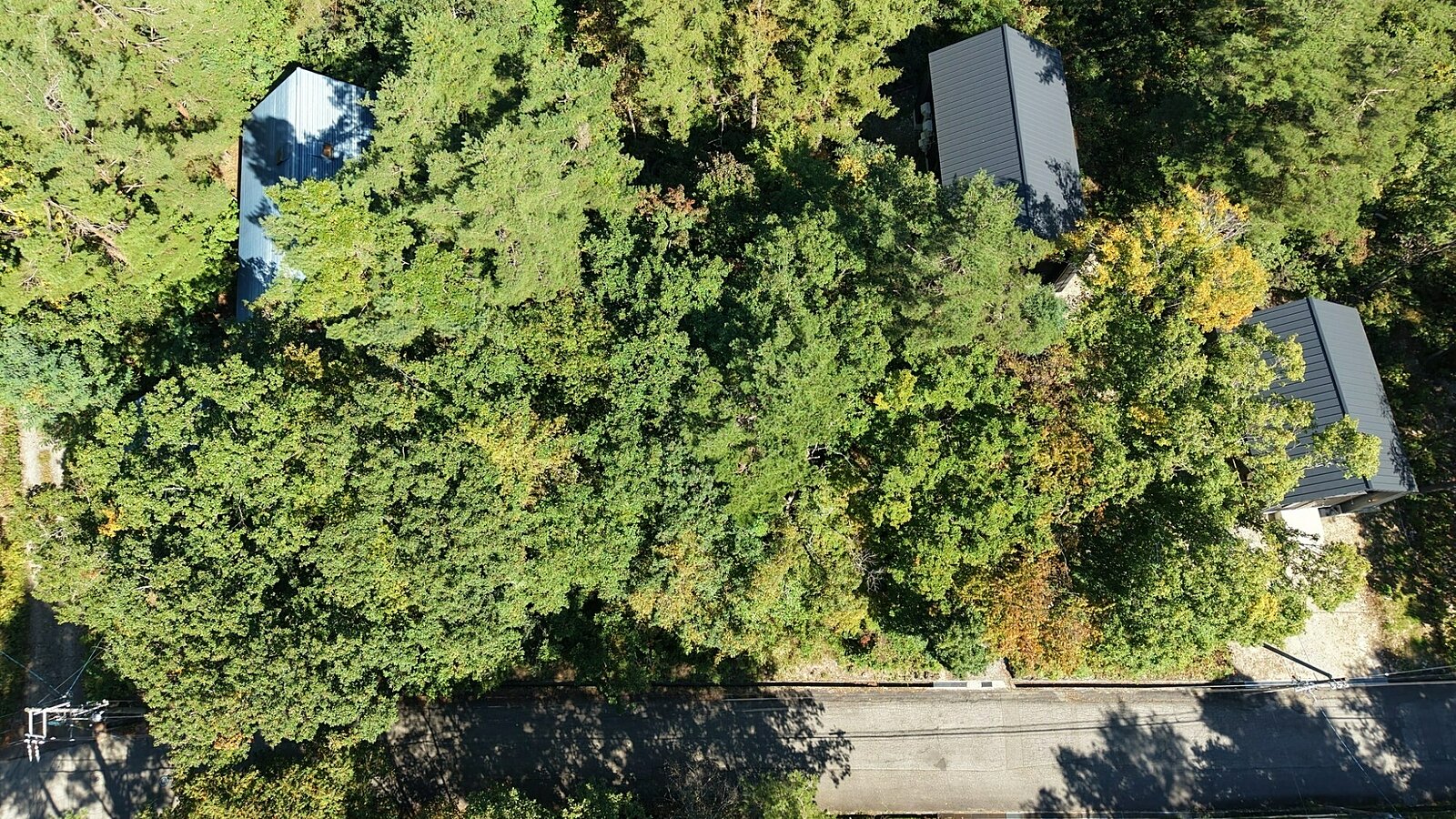 DJI 20261008100607 0059 D 2 under3mb