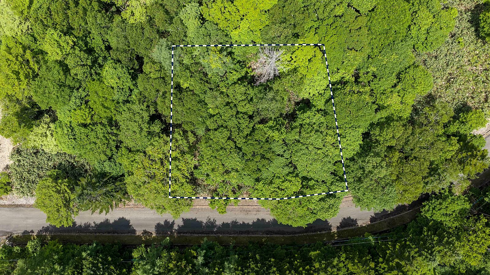 Drs Village Woodland Lot 01