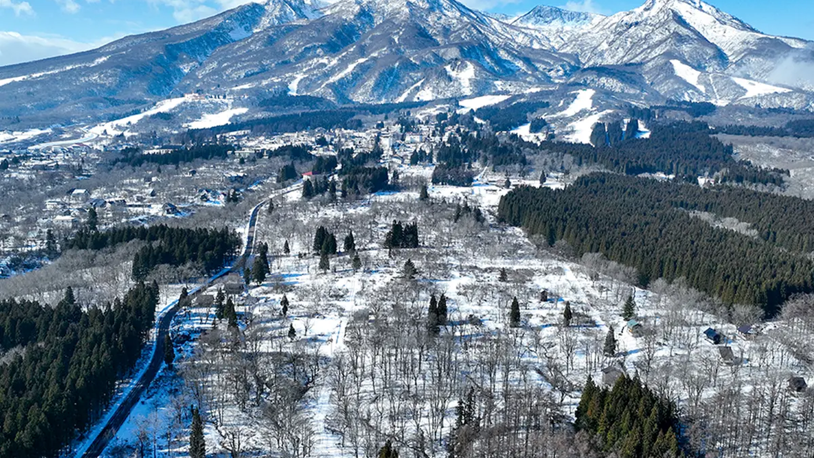 HAKUBA REAL ESTATE 900 Tsubo Land in Myoko 11