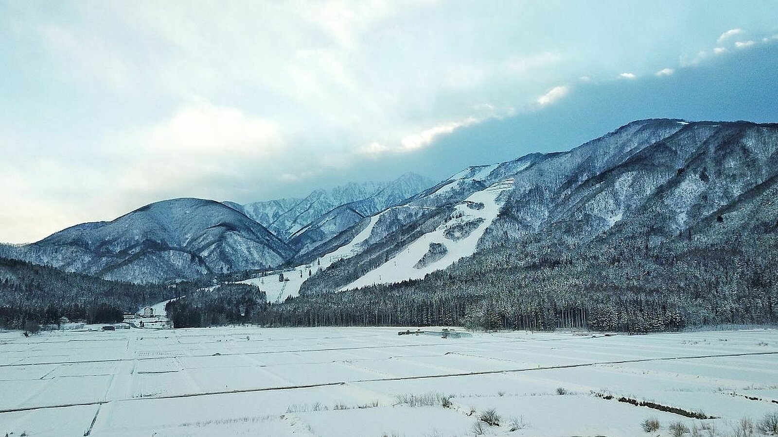 Hakuba Real Estate Meitetsu Goldenfield 5
