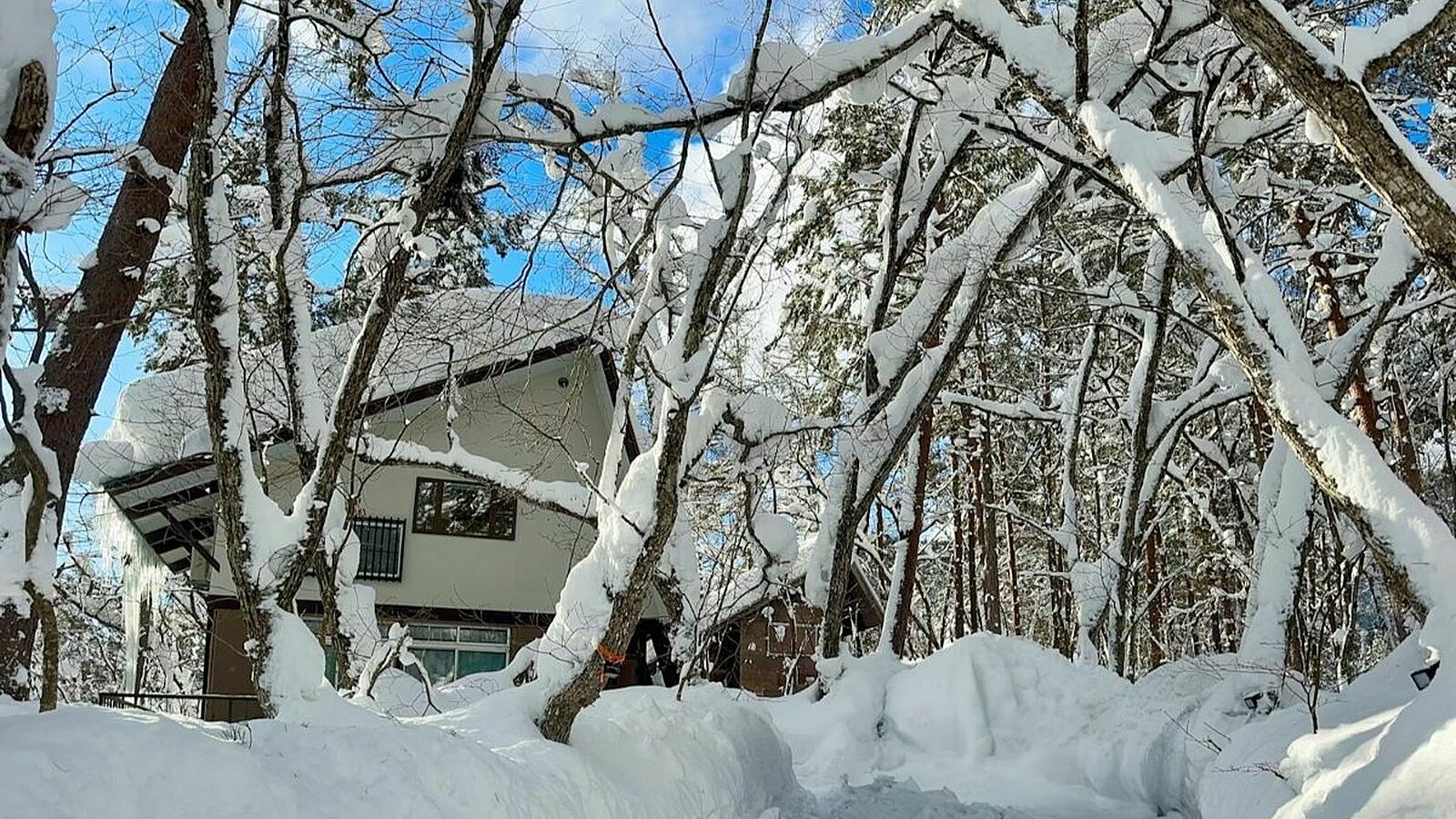 Hakuba Real Estate Misorano Cottage 6
