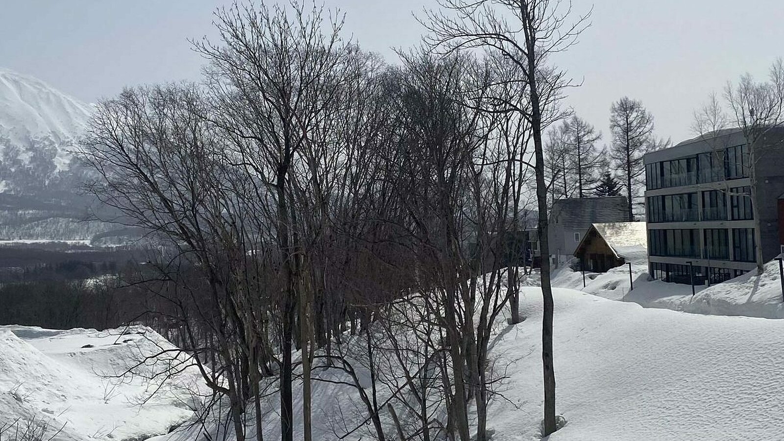 Hirafu Estate Lot C10