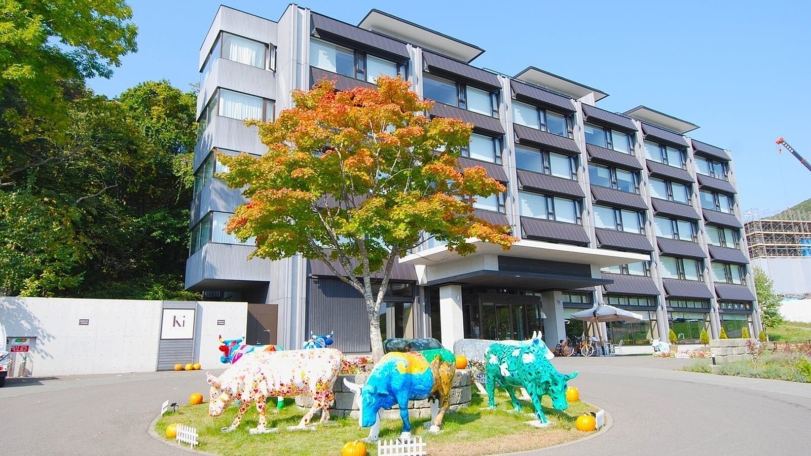Ki Niseko 315 316 10