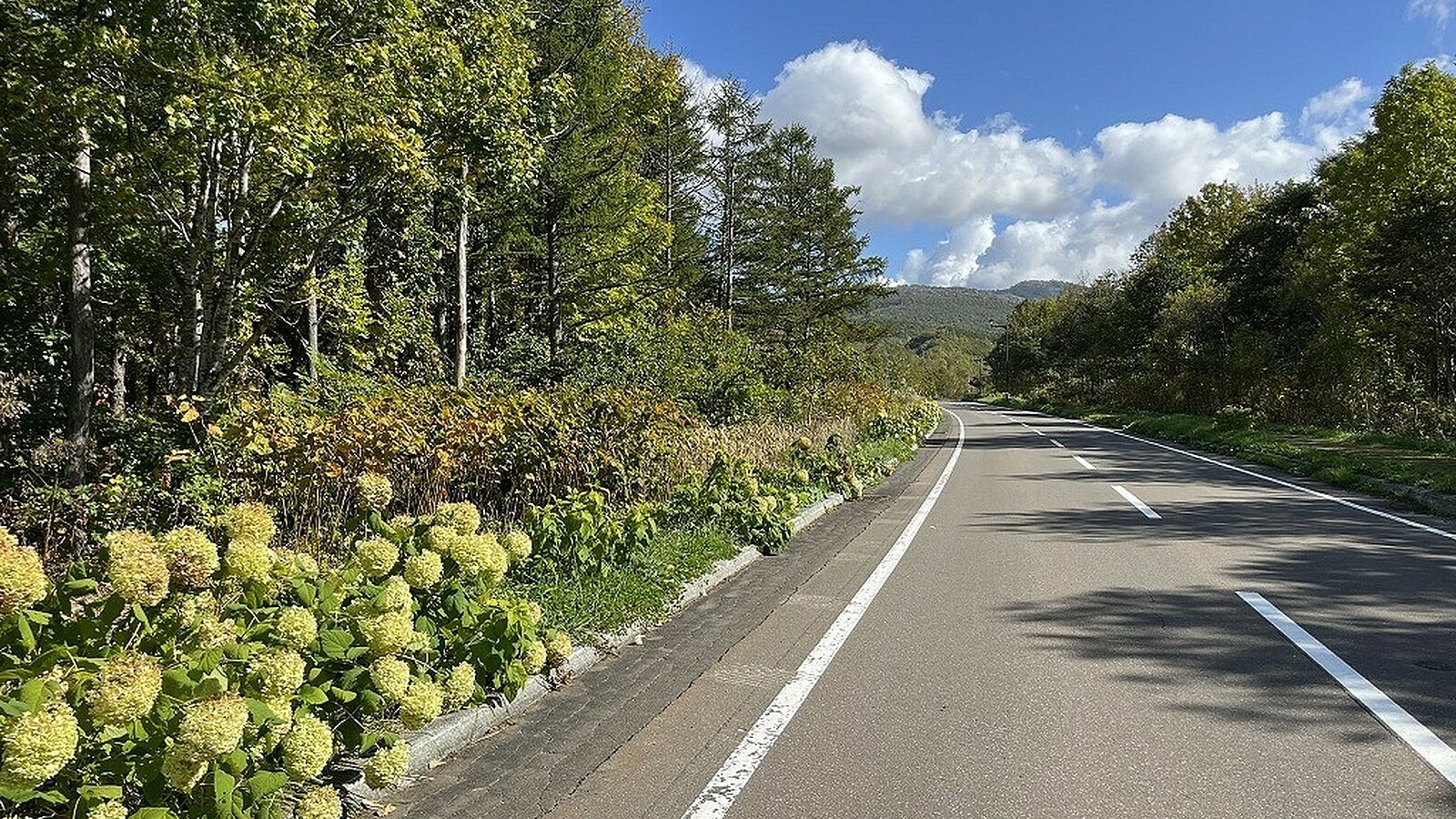 Kiroro Land1