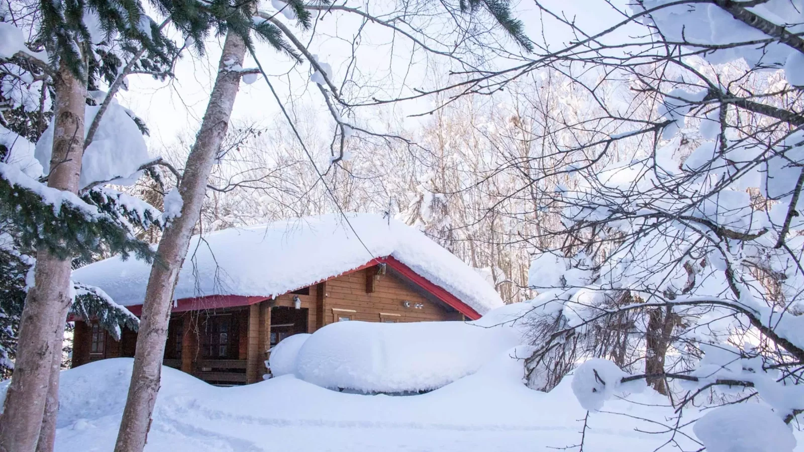 Kondo Forest House 1