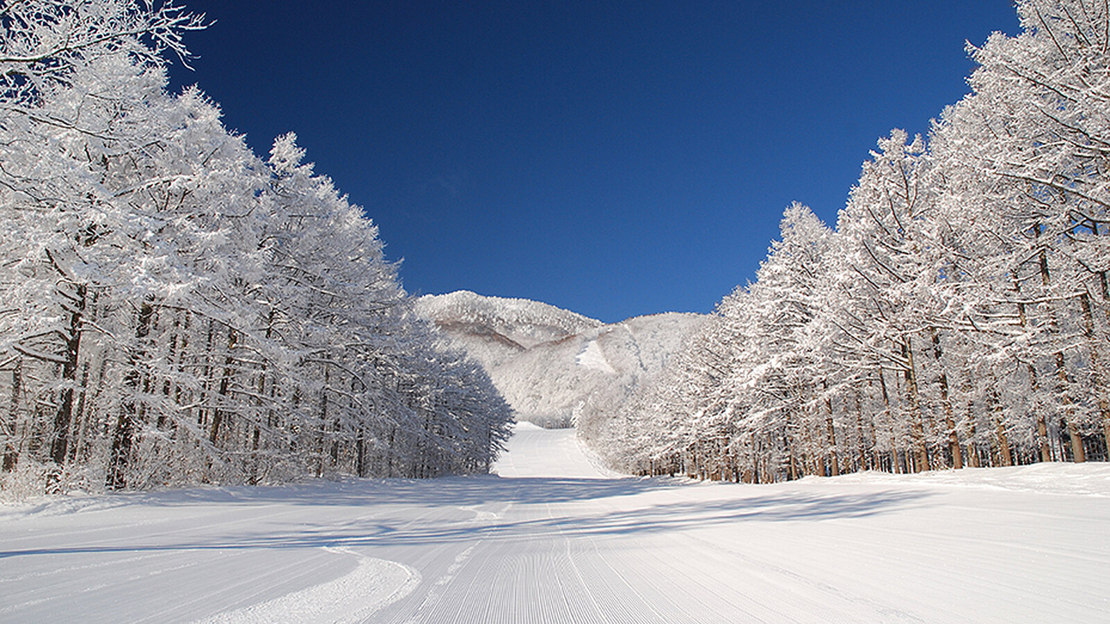 Kurohime Ski Resort1