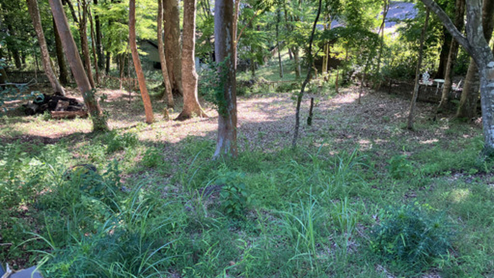 Land with Hot Spring Rights5