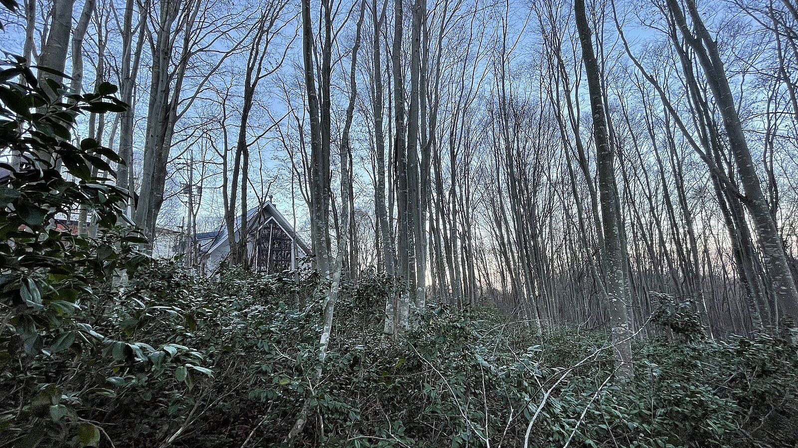 Madarao Slopeside Land1