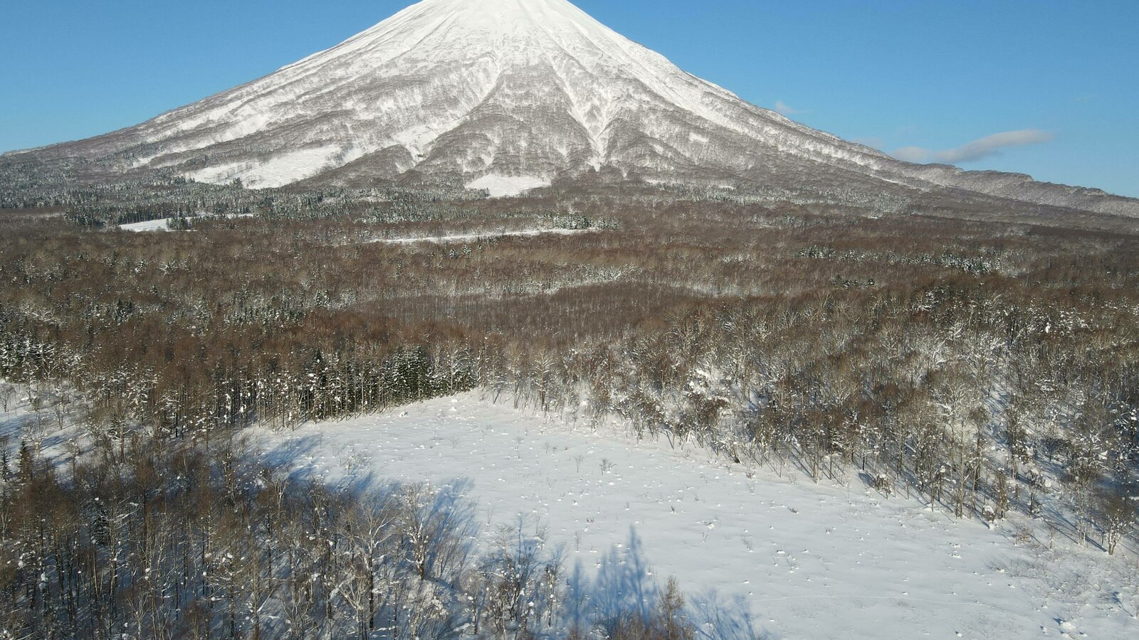 Makkari 3