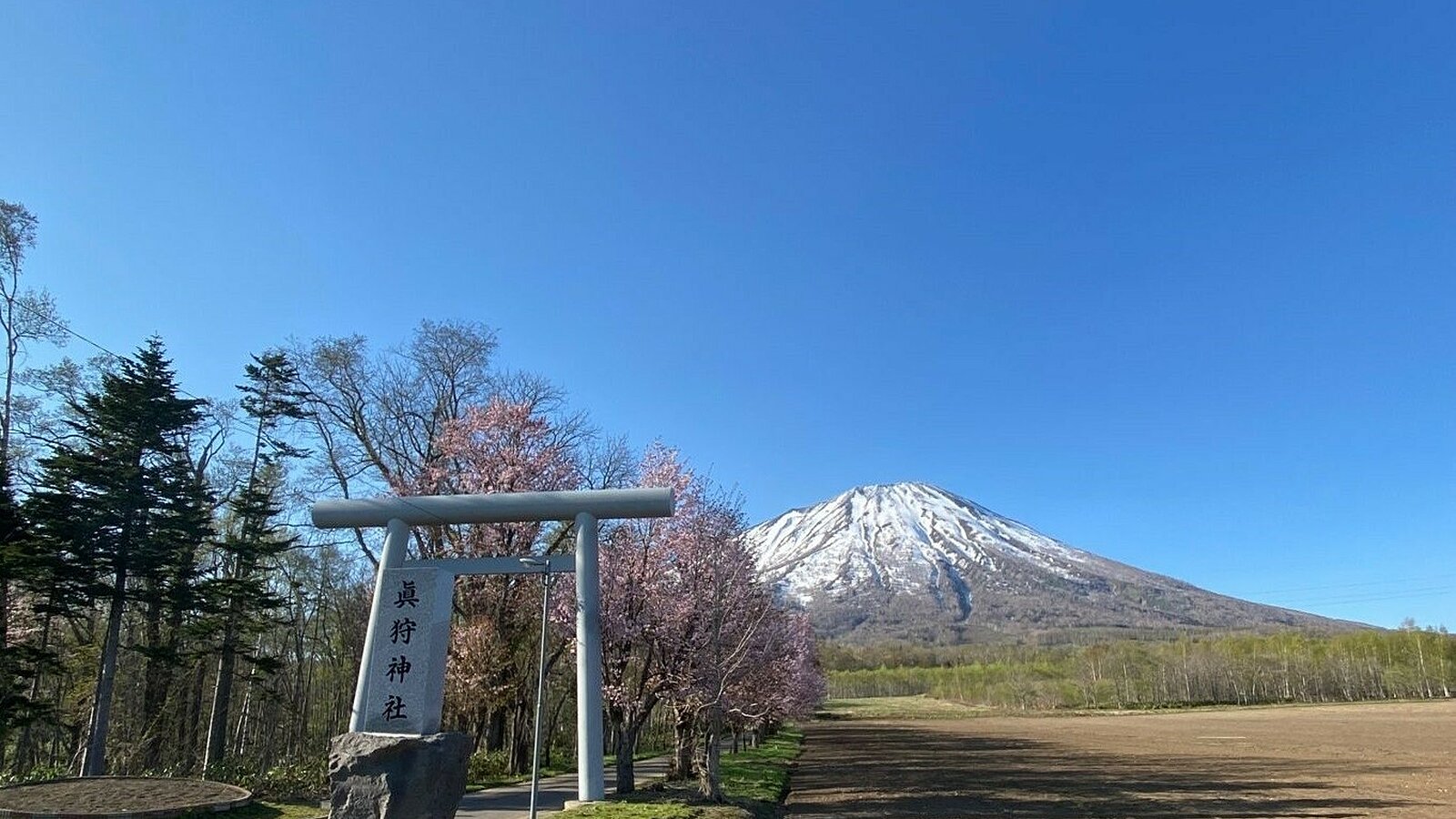 Makkari Sakura Land4