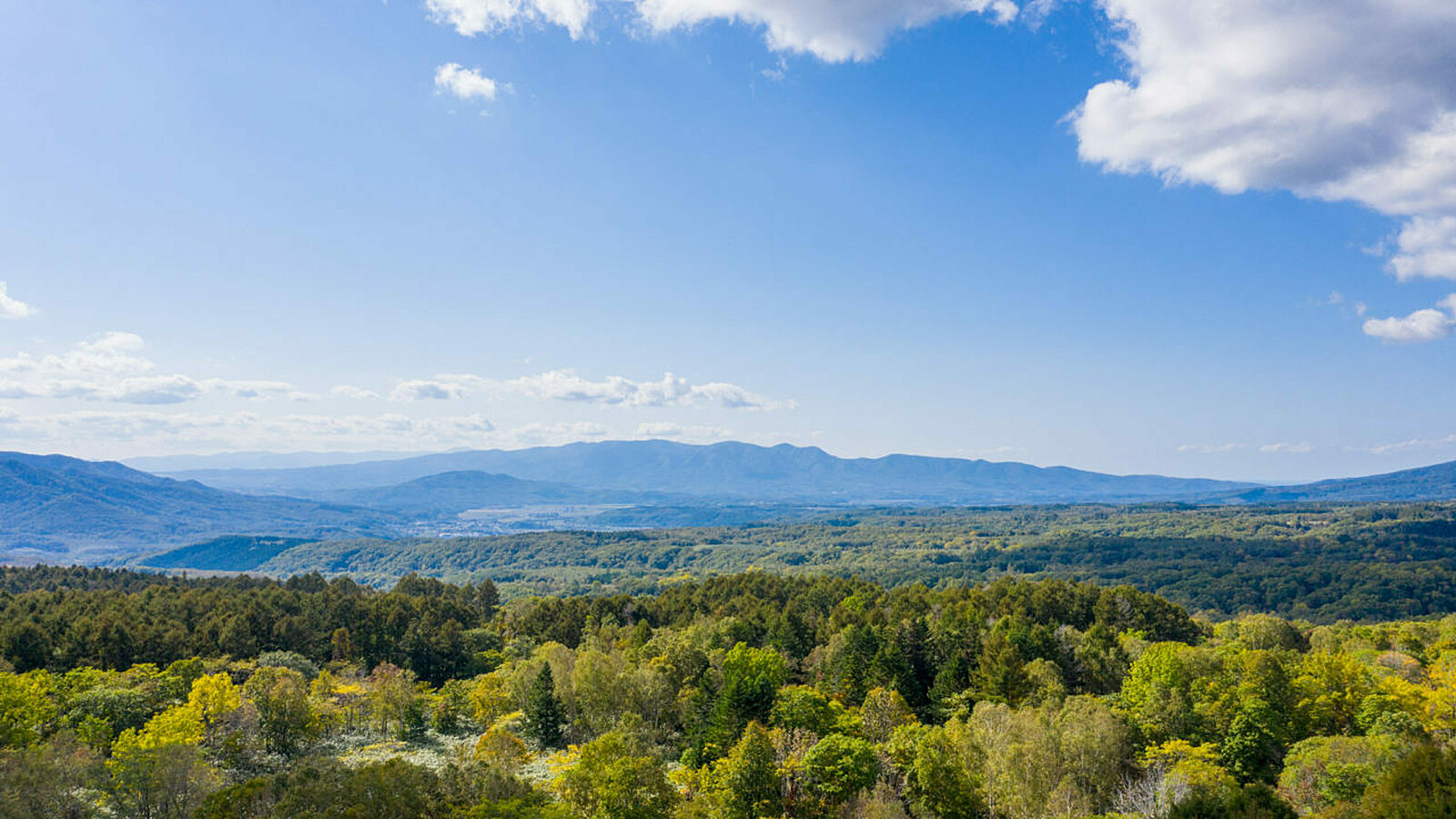 Moiwa Niseko Realty Land Development Land 8 1 1280x720