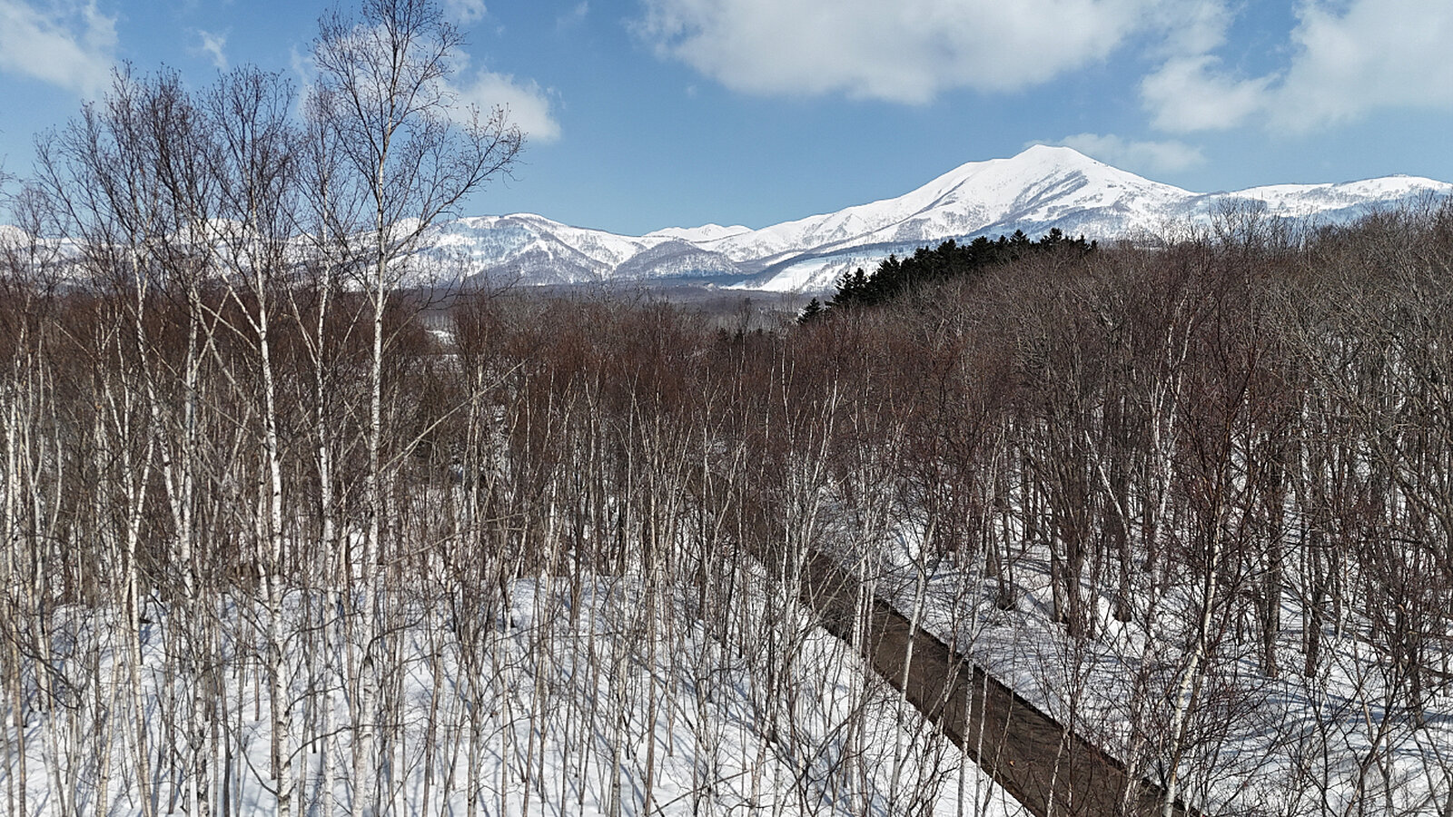 Niseko 177 3 4