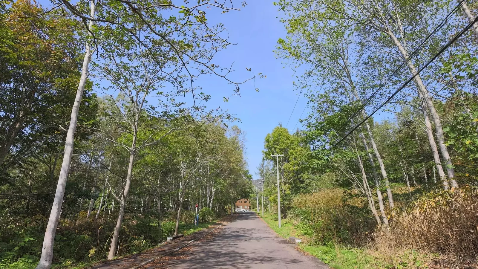 Niseko 402 1 6 jpg